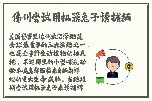 **长征黑料不打烊传送门